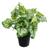 GloboStar® Artificial Garden BEGONIA PLANT 20958 Διακοσμητικό Φυτό Βιγόνια Φ47 x Υ22cm - ledmania.gr