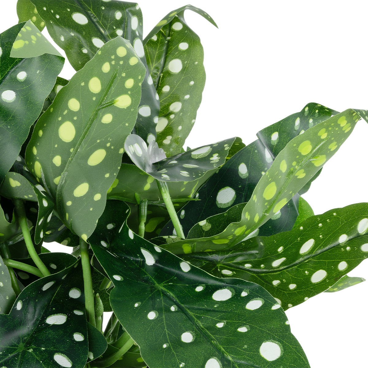 GloboStar® Artificial Garden BEGONIA POLKA DOT PLANT 20959 Διακοσμητικό Φυτό Βιγόνια Φ50 x Υ22cm - ledmania.gr