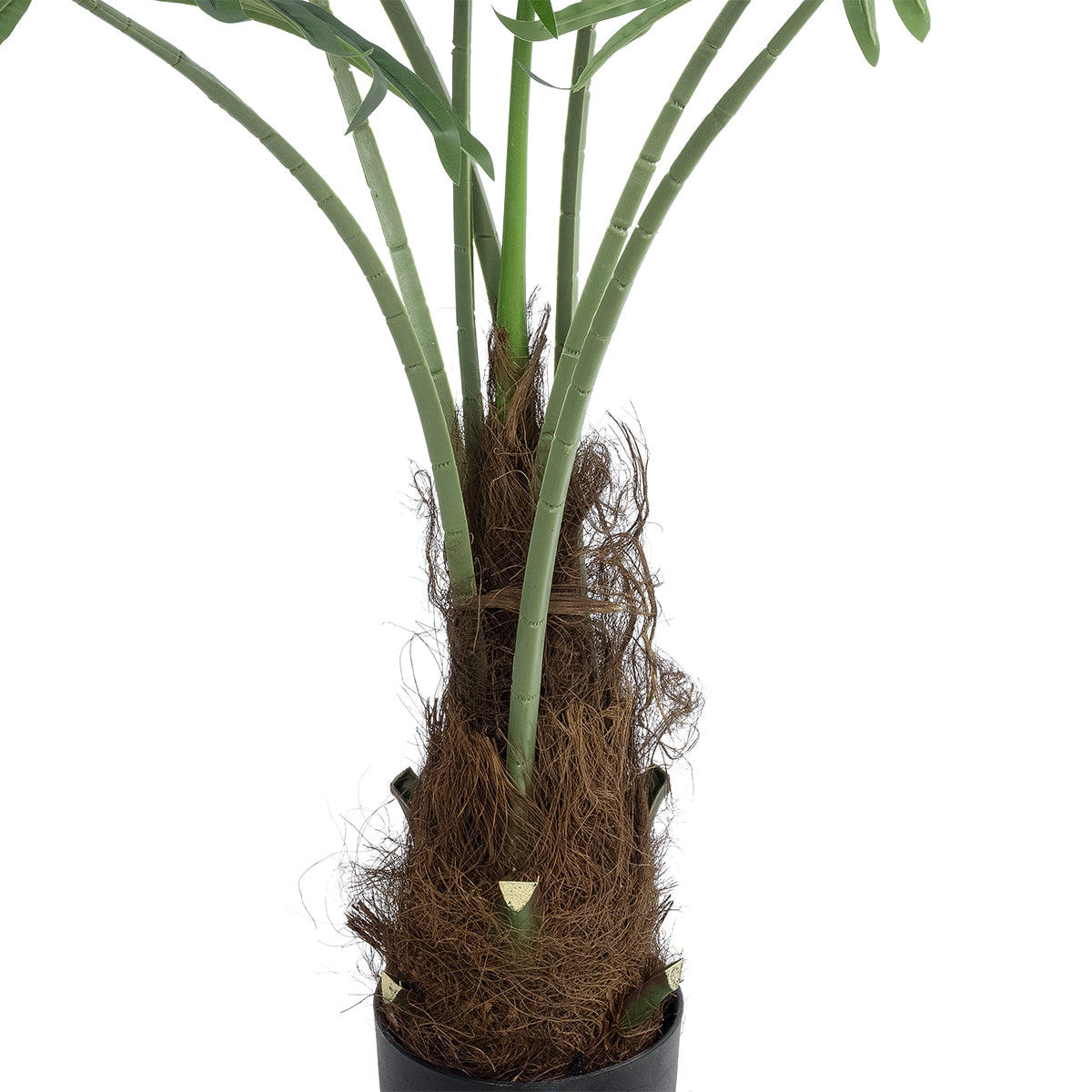 GloboStar® Artificial Garden SERENOA PALM PLANT 20971 Διακοσμητικό Φυτό Φοίνικα Σερενόα Φ60 x Υ140cm - ledmania.gr