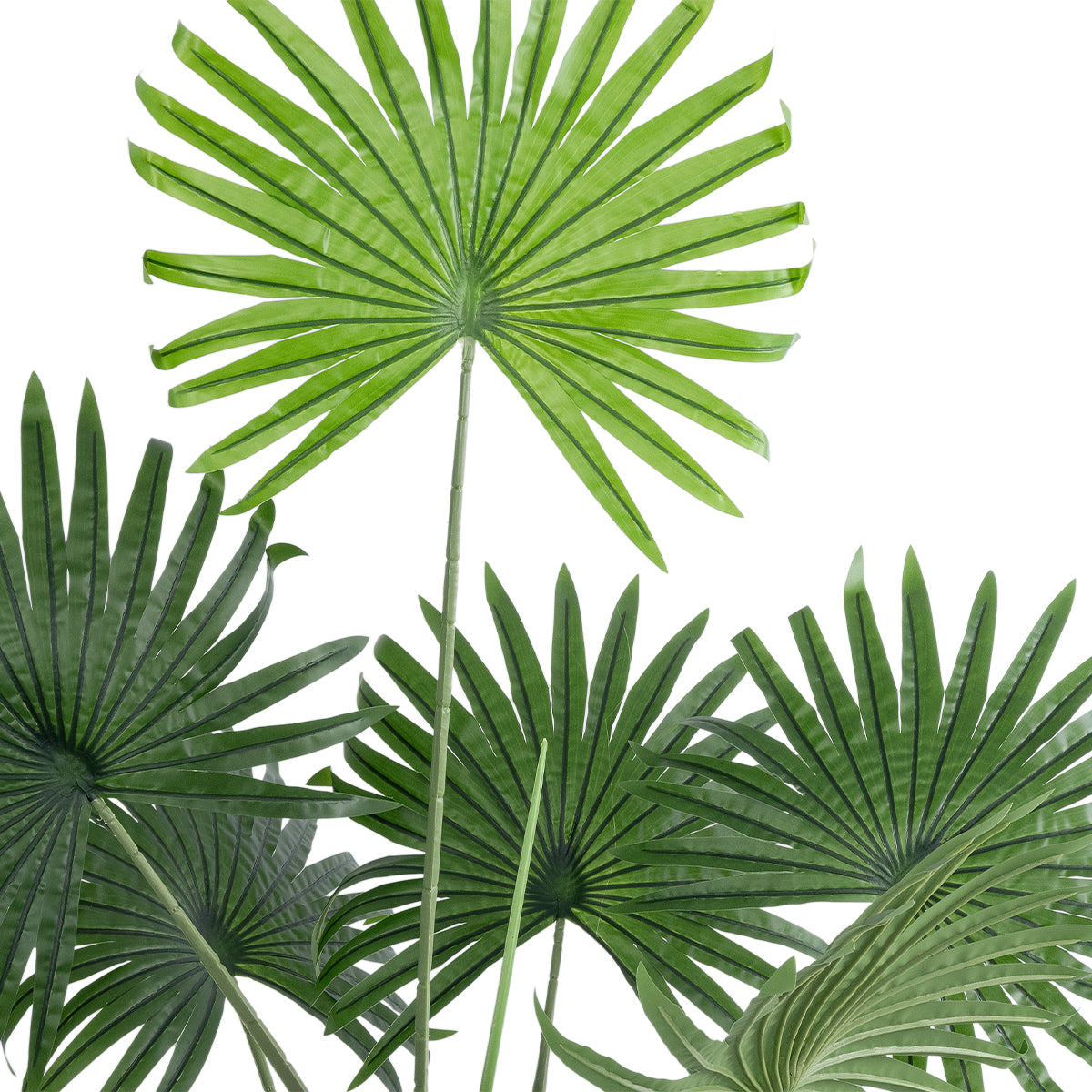 GloboStar® Artificial Garden SERENOA PALM PLANT 20971 Διακοσμητικό Φυτό Φοίνικα Σερενόα Φ60 x Υ140cm - ledmania.gr