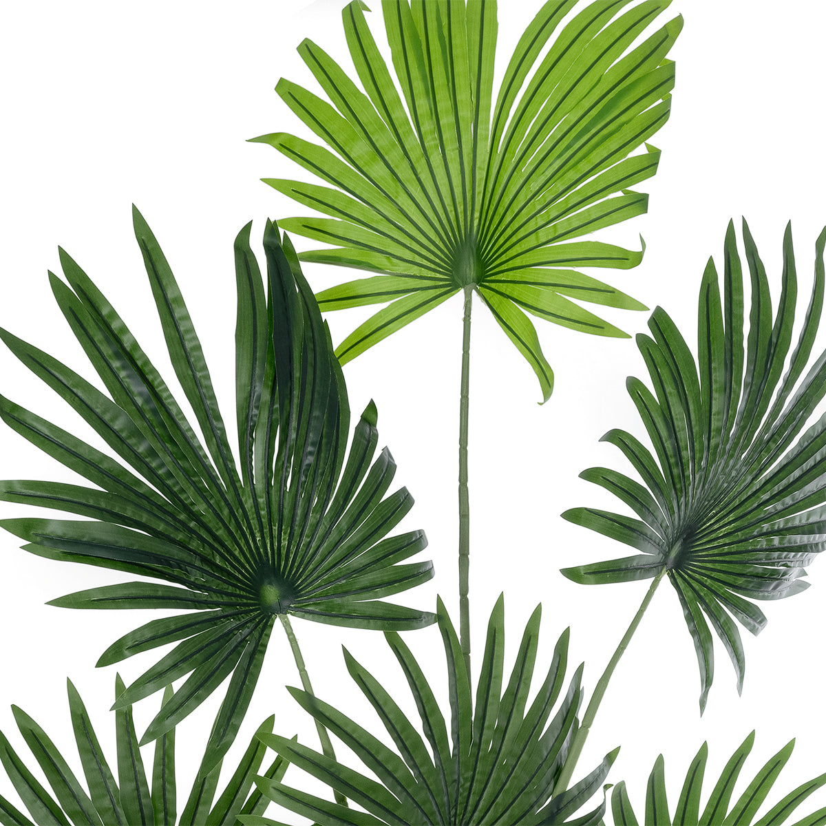 GloboStar® Artificial Garden SERENOA PALM PLANT 20972 Διακοσμητικό Φυτό Φοίνικα Σερενόα Φ103 x Υ180cm - ledmania.gr
