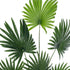 GloboStar® Artificial Garden SERENOA PALM PLANT 20972 Διακοσμητικό Φυτό Φοίνικα Σερενόα Φ103 x Υ180cm - ledmania.gr