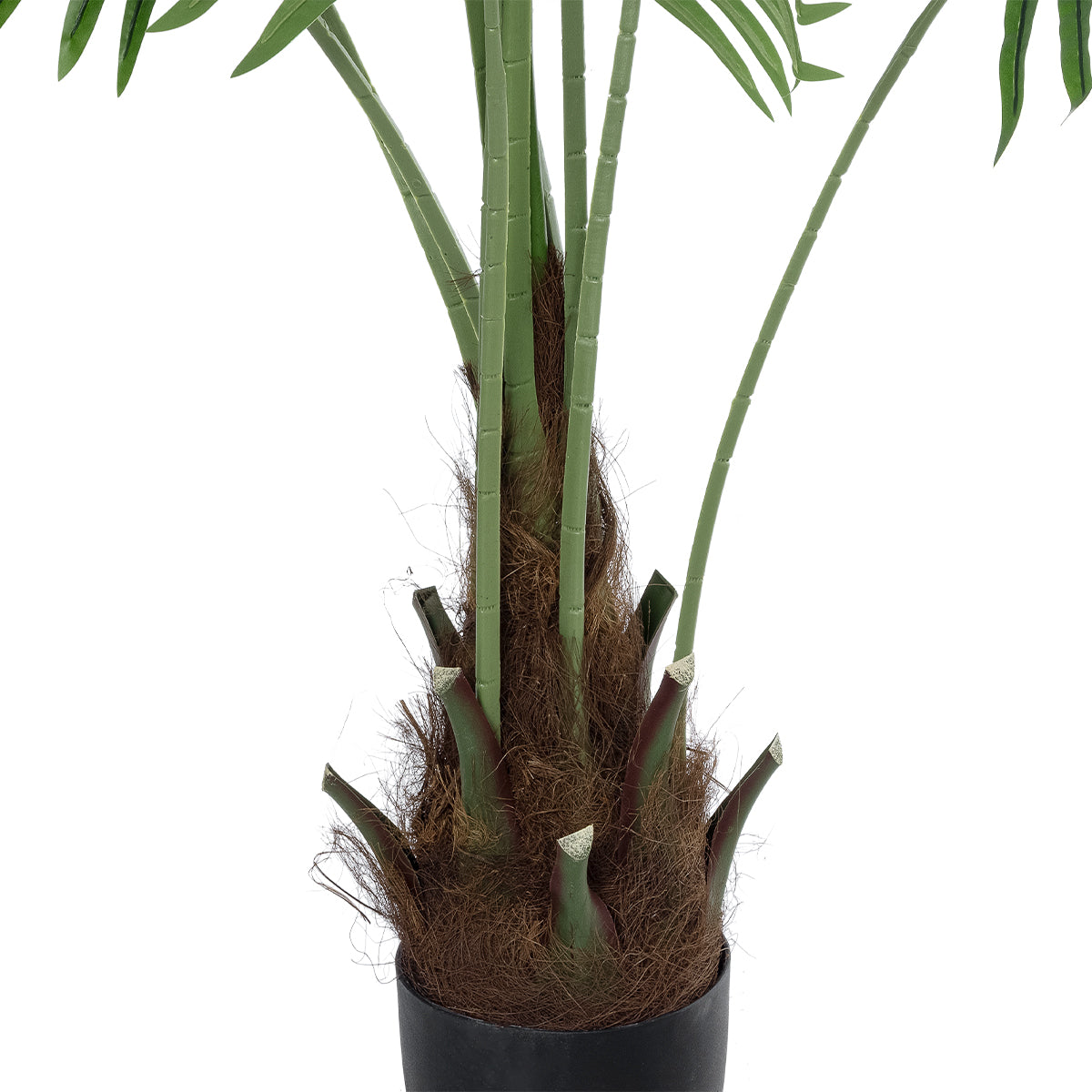 GloboStar® Artificial Garden SERENOA PALM PLANT 20972 Διακοσμητικό Φυτό Φοίνικα Σερενόα Φ103 x Υ180cm - ledmania.gr