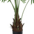 GloboStar® Artificial Garden SERENOA PALM PLANT 20972 Διακοσμητικό Φυτό Φοίνικα Σερενόα Φ103 x Υ180cm - ledmania.gr