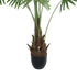 GloboStar® Artificial Garden SERENOA PALM PLANT 20972 Διακοσμητικό Φυτό Φοίνικα Σερενόα Φ103 x Υ180cm - ledmania.gr