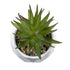 GloboStar® Artificial Garden SUCCULENT ALOE 20982 Διακοσμητικό Φυτό Παχύφυτο Αλόη Υ11cm - ledmania.gr