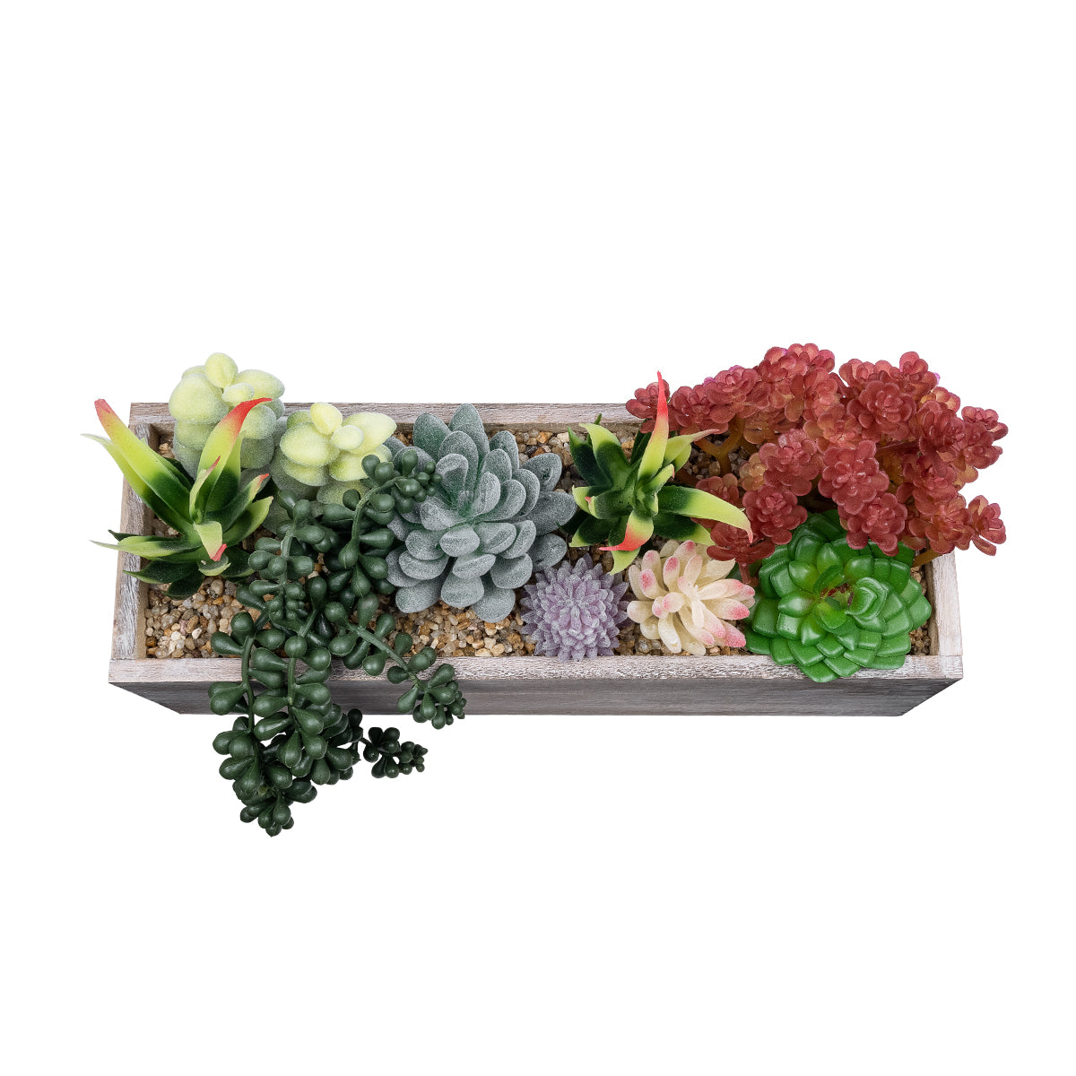 GloboStar® Artificial Garden SUCCULENT VARIUS PLANT POTTED 21033 Διακοσμητικό Φυτό Μίξ Μ29 x Π10 x Υ18cm - ledmania.gr