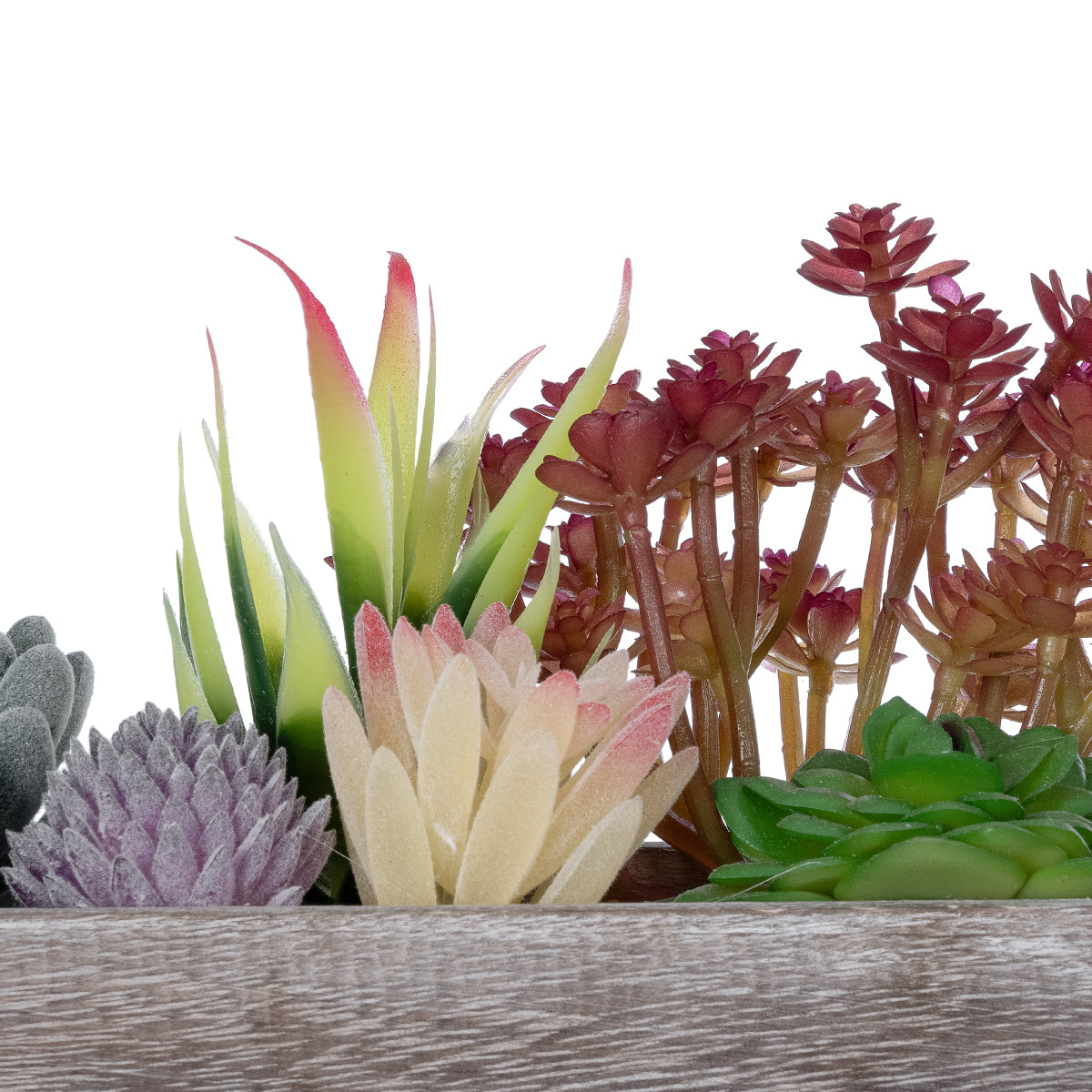 GloboStar® Artificial Garden SUCCULENT VARIUS PLANT POTTED 21033 Διακοσμητικό Φυτό Μίξ Μ29 x Π10 x Υ18cm - ledmania.gr