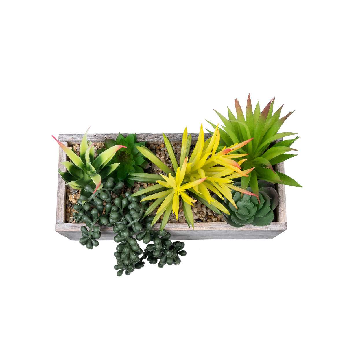 GloboStar® Artificial Garden SUCCULENT VARIUS PLANT POTTED 21034 Διακοσμητικό Φυτό Μίξ Μ23 x Π13 x Υ23cm - ledmania.gr