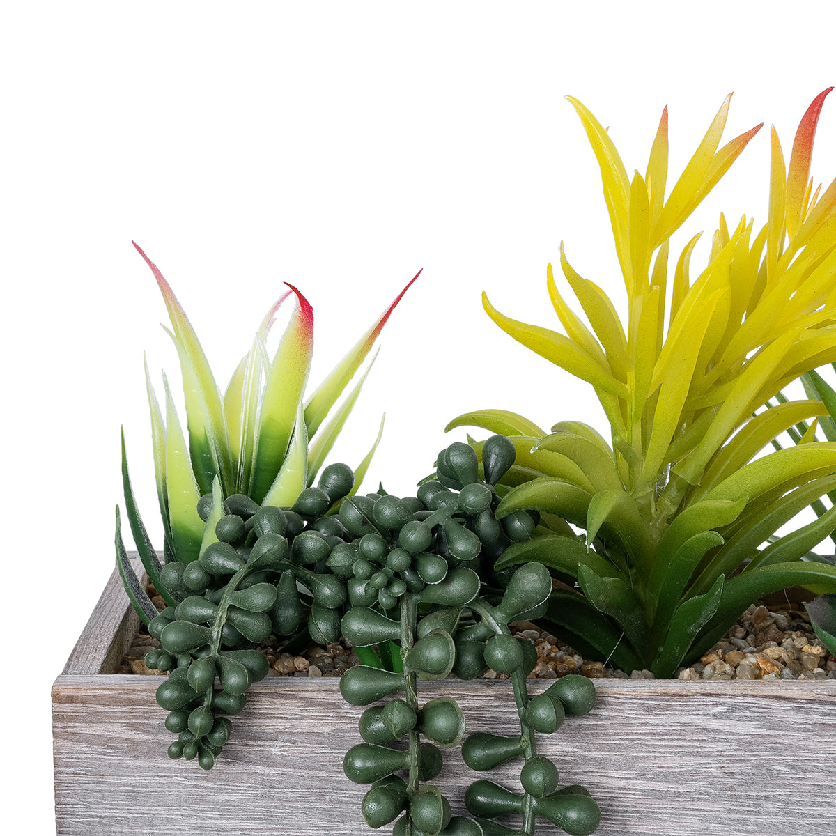 GloboStar® Artificial Garden SUCCULENT VARIUS PLANT POTTED 21034 Διακοσμητικό Φυτό Μίξ Μ23 x Π13 x Υ23cm - ledmania.gr