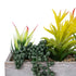 GloboStar® Artificial Garden SUCCULENT VARIUS PLANT POTTED 21034 Διακοσμητικό Φυτό Μίξ Μ23 x Π13 x Υ23cm - ledmania.gr