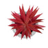 GloboStar® Artificial Garden AIR PLANT TILLANDSIA POTTED PLANT 21035 Διακοσμητικό Φυτό Τιλάντσια Φ12 x Υ15cm - ledmania.gr