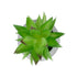 GloboStar® Artificial Garden SUCCULENT ALOE POTTED PLANT 21037 Διακοσμητικό Φυτό Αλόη Φ10 x Υ15cm - ledmania.gr