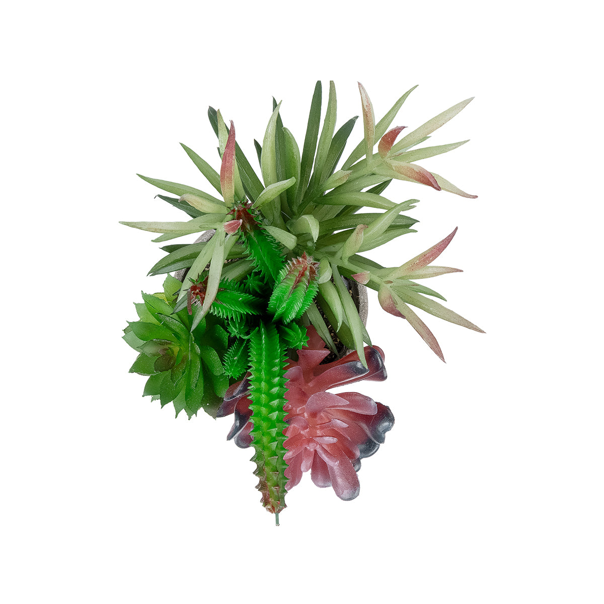 GloboStar® Artificial Garden SUCCULENT VARIUS PLANT POTTED 21039 Διακοσμητικό Φυτό Μίξ Μ17 x Υ20cm - ledmania.gr