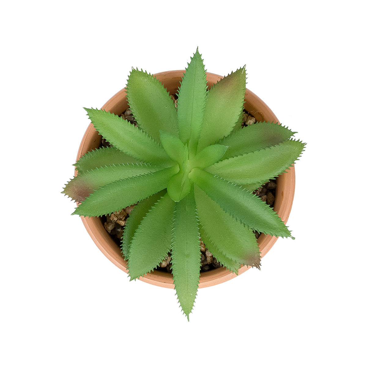 GloboStar® Artificial Garden SUCCULENT ALOE POTTED PLANT 21040 Διακοσμητικό Φυτό Αλόη Φ9 x Υ14cm - ledmania.gr
