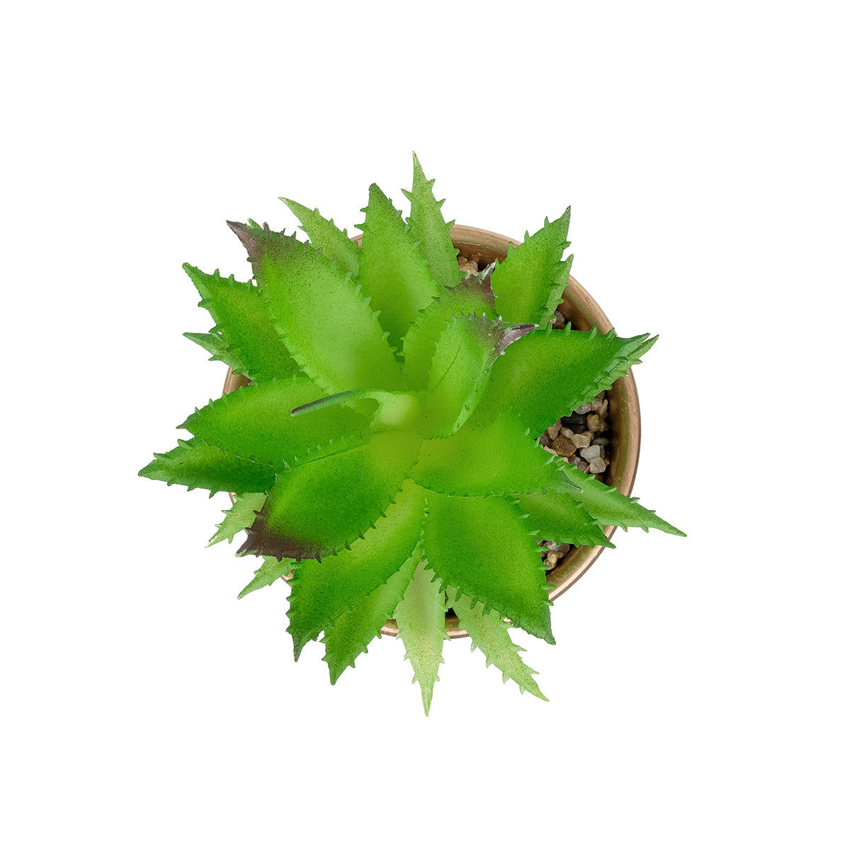 GloboStar® Artificial Garden SUCCULENT ALOE POTTED PLANT 21044 Διακοσμητικό Φυτό Αλόη Φ12 x Υ16cm - ledmania.gr