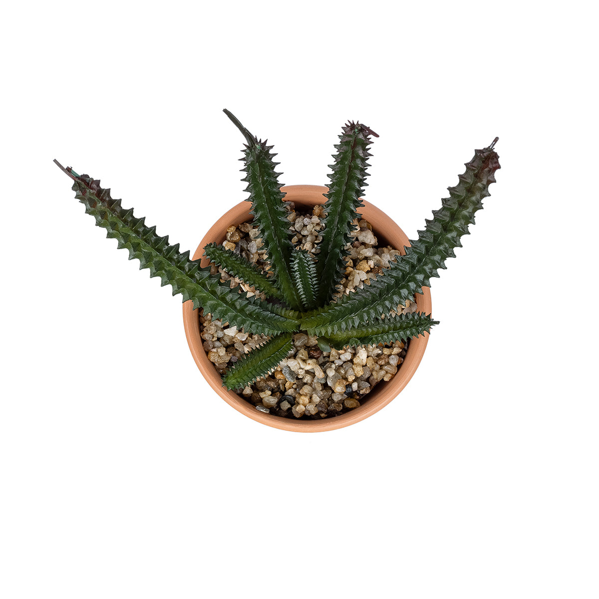 GloboStar® Artificial Garden SUCCULENT EUPHORBIA POTTED PLANT 21045 Διακοσμητικό Φυτό Ευφορβία Φ11 x Υ19cm - ledmania.gr
