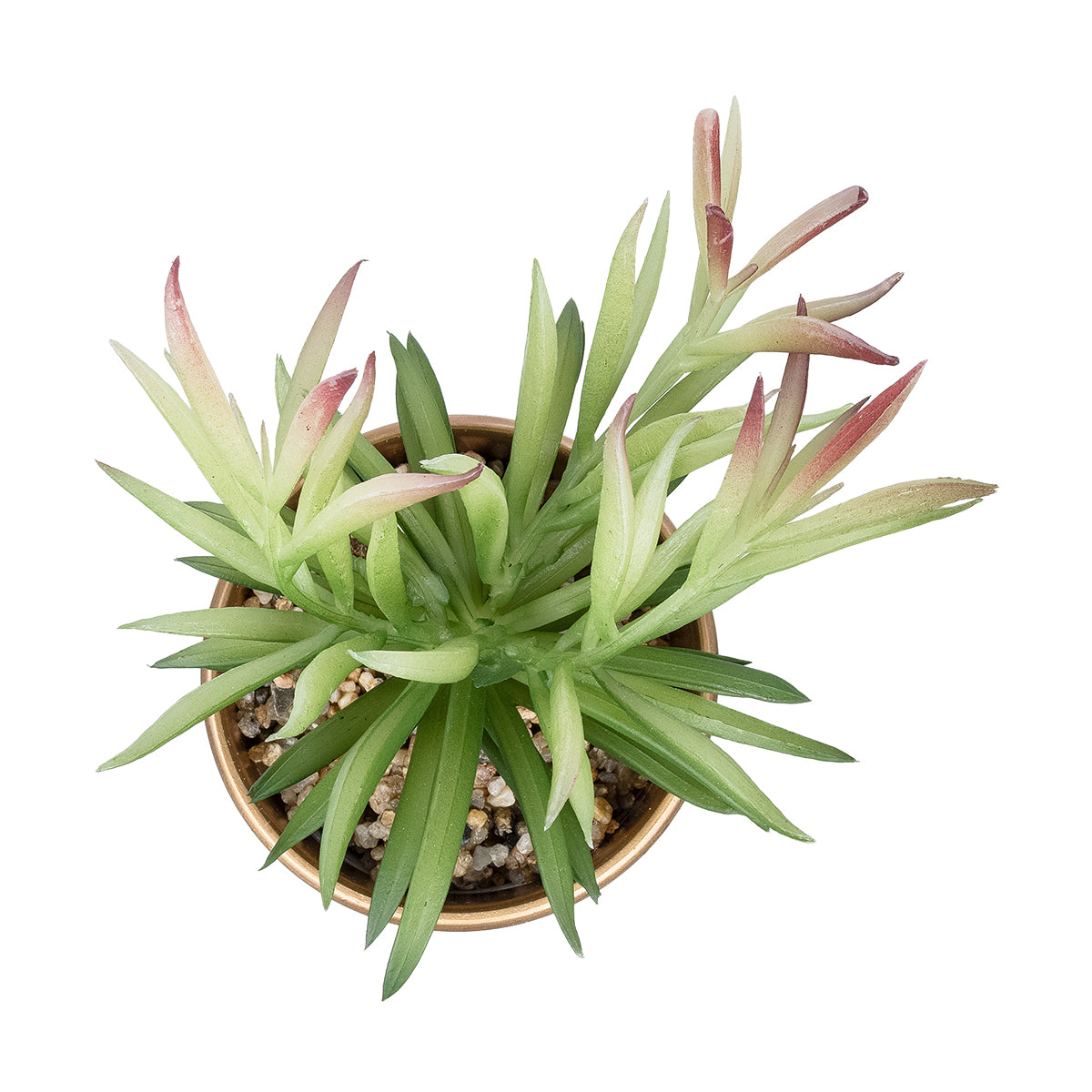 GloboStar® Artificial Garden SUCCULENT CRASSULA POTTED PLANT 21046 Διακοσμητικό Φυτό Κρασούλα  Φ12 x Υ20cm - ledmania.gr