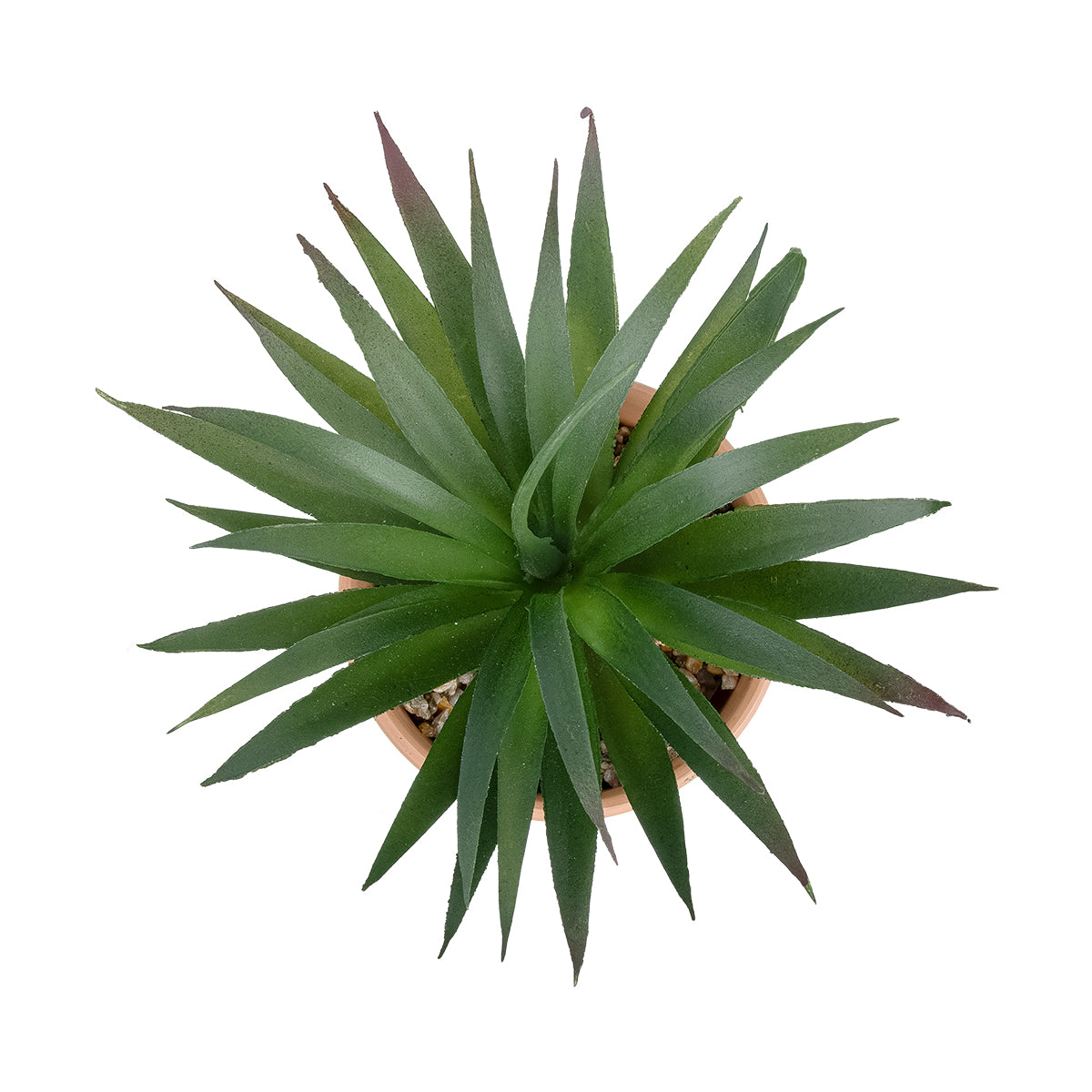 GloboStar® Artificial Garden SUCCULENT SANSEVIERIA POTTED PLANT 21047 Διακοσμητικό Φυτό Σανσεβιέρια  Φ16x Υ20cm - ledmania.gr
