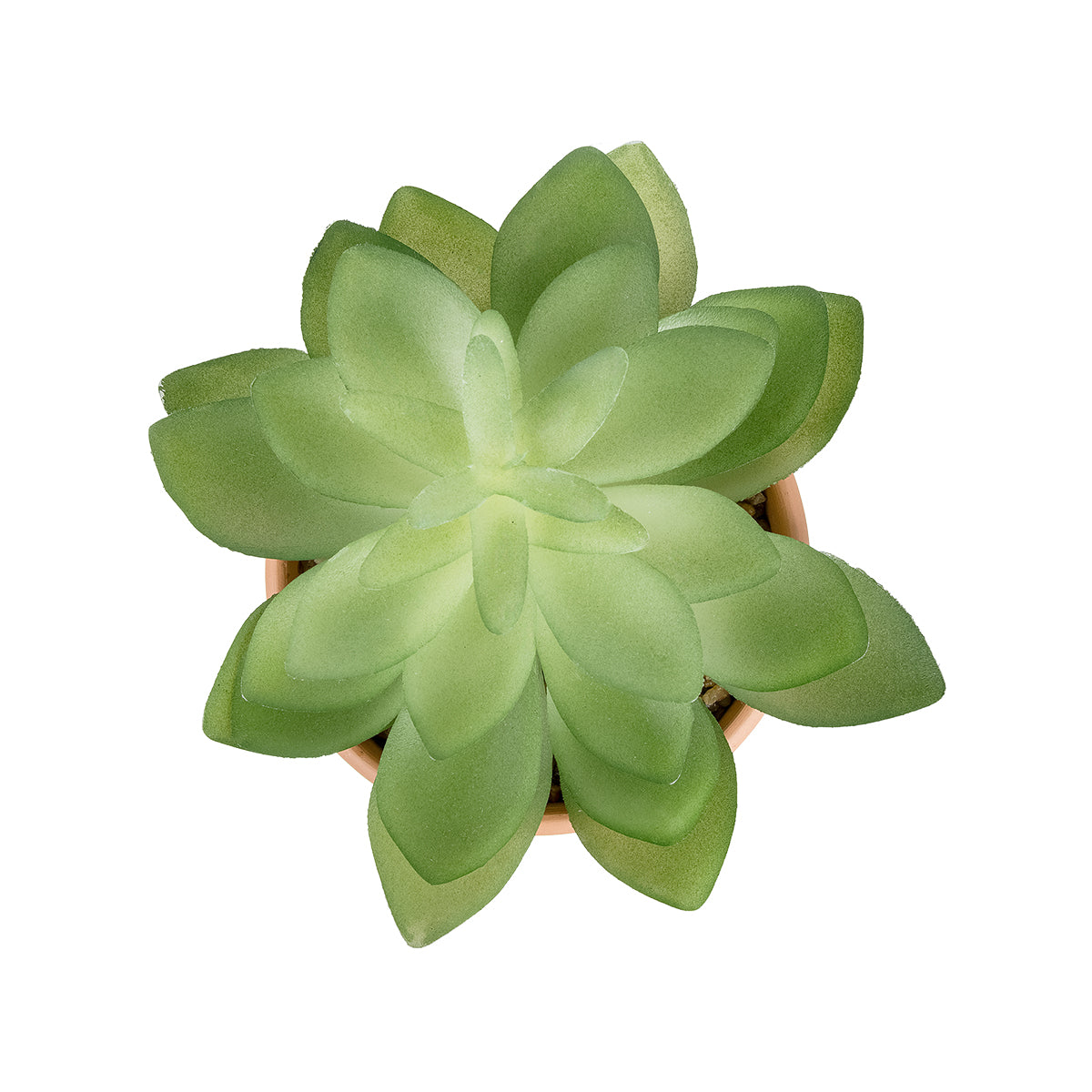 GloboStar® Artificial Garden SUCCULENT ECHEVERIA POTTED PLANT 21048 Διακοσμητικό Φυτό Εχεβέρια Φ13 x Υ18cm - ledmania.gr