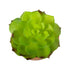 GloboStar® Artificial Garden SUCCULENT ECHEVERIA 21049 Διακοσμητικό Φυτό Παχύφυτο Εχεβέρια Υ14cm - ledmania.gr