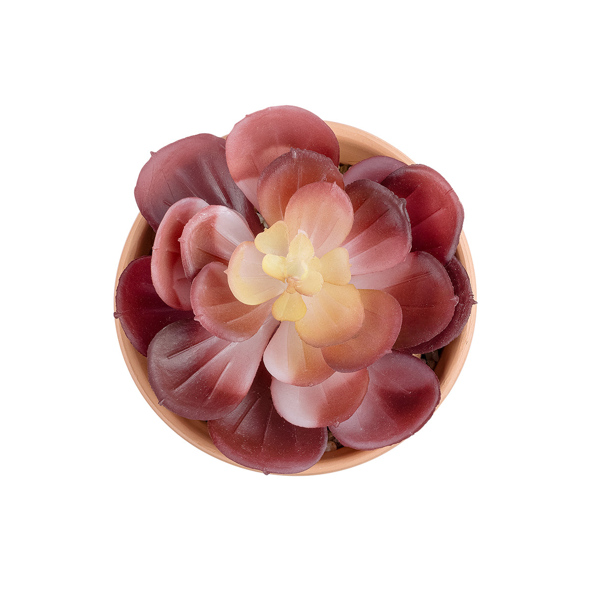GloboStar® Artificial Garden SUCCULENT ECHEVERIA POTTED PLANT 21050 Διακοσμητικό Φυτό Εχεβέρια Φ10 x Υ13cm - ledmania.gr