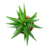 GloboStar® Artificial Garden SUCCULENT ALOE POTTED PLANT 21054 Διακοσμητικό Φυτό Αλόη  Φ15 x Υ19cm - ledmania.gr