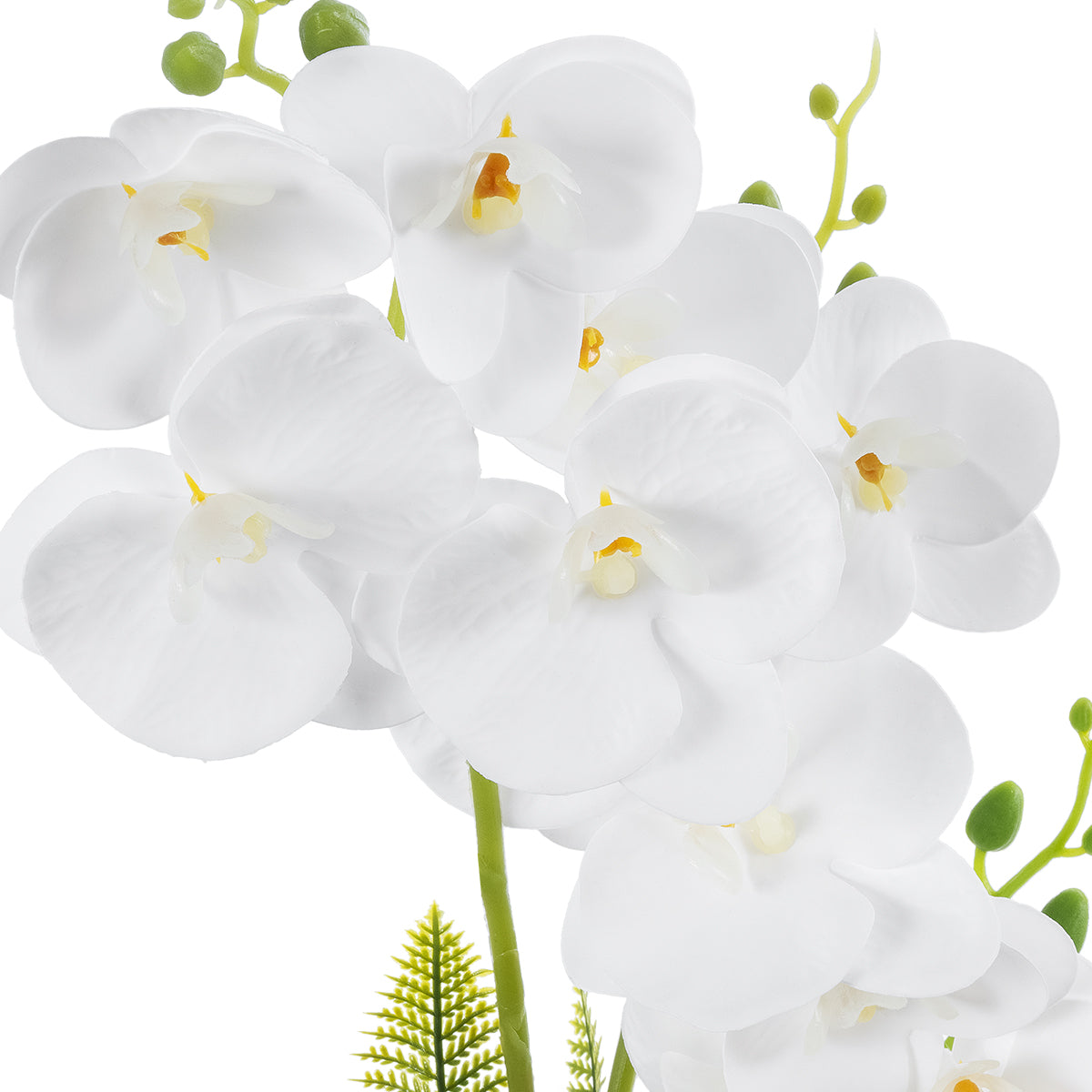 GloboStar® Artificial Garden WHITE ORCHID 21076 Διακοσμητικό Φυτό Λευκή Ορχιδέα Υ45cm - ledmania.gr