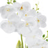 GloboStar® Artificial Garden WHITE ORCHID 21076 Διακοσμητικό Φυτό Λευκή Ορχιδέα Υ45cm - ledmania.gr