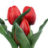 GloboStar® Artificial Garden RED TULIP 21094 Διακοσμητικό Φυτό Κόκκινη Τουλίπα Υ23cm - ledmania.gr