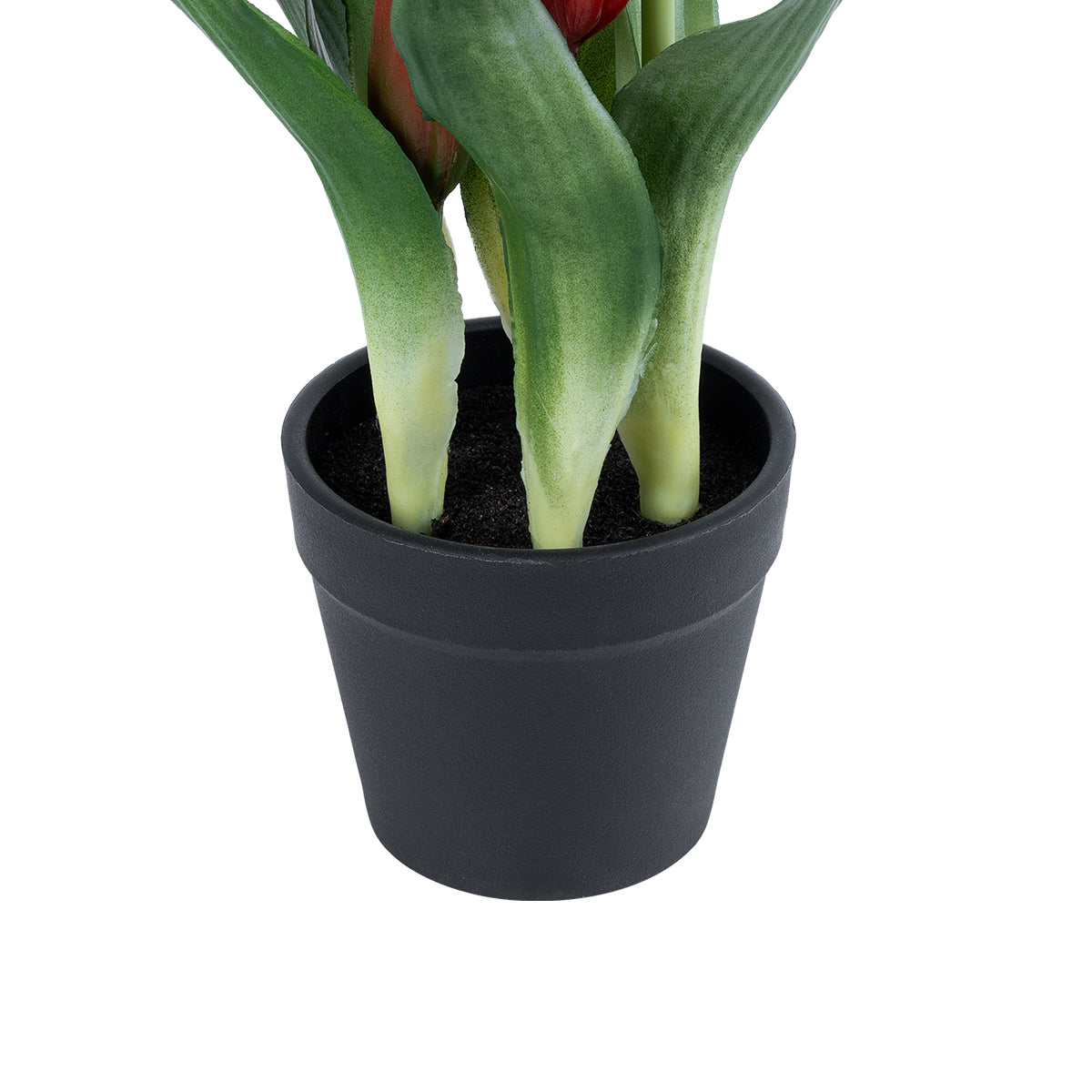 GloboStar® Artificial Garden RED TULIP 21094 Διακοσμητικό Φυτό Κόκκινη Τουλίπα Υ23cm - ledmania.gr