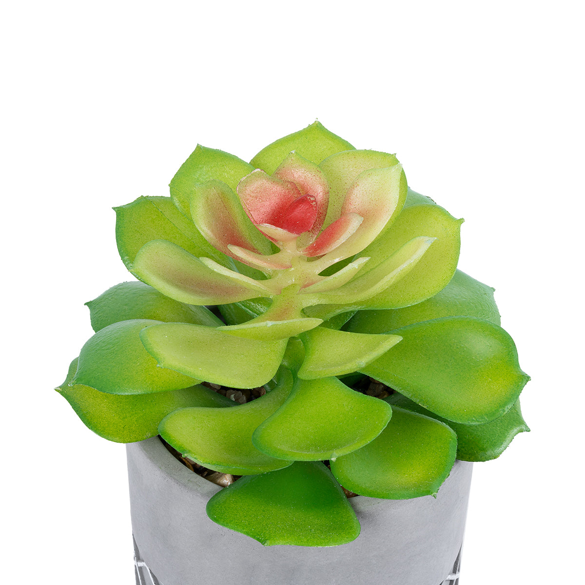GloboStar® Artificial Garden SUCCULENT SEDEVERIA 21095 Διακοσμητικό Φυτό Παχύφυτο Σεντεβέρια Υ17cm - ledmania.gr