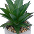 GloboStar® Artificial Garden SUCCULENT ALOE 21096 Διακοσμητικό Φυτό Παχύφυτο Αλόη Υ17cm - ledmania.gr