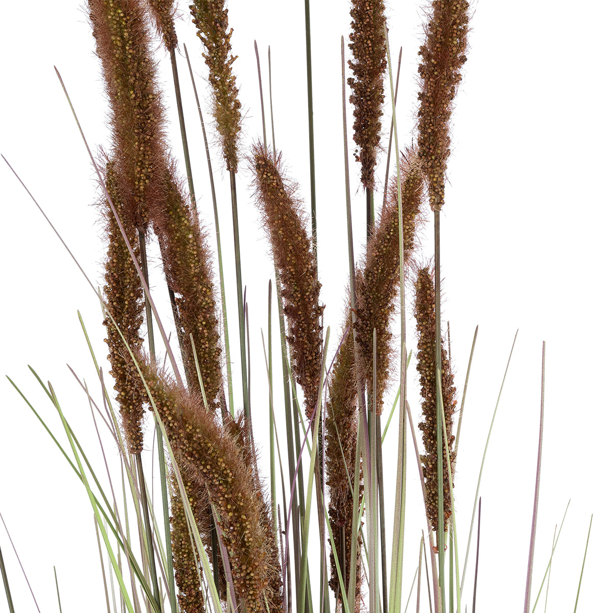 GloboStar® Artificial Garden BROWN LAGURUS 21101 Διακοσμητικό Φυτό Καφέ Λαγοουρά Υ140cm - ledmania.gr
