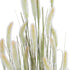 GloboStar® Artificial Garden BEIGE LAGURUS 21102 Διακοσμητικό Φυτό Μπεζ Λαγοουρά Υ140cm - ledmania.gr