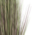 GloboStar® Artificial Garden BEIGE LAGURUS 21102 Διακοσμητικό Φυτό Μπεζ Λαγοουρά Υ140cm - ledmania.gr
