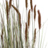 GloboStar® Artificial Garden BROWN LAGURUS 21103 Διακοσμητικό Φυτό Καφέ Λαγοουρά Υ180cm - ledmania.gr
