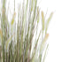 GloboStar® Artificial Garden BEIGE LAGURUS 21104 Διακοσμητικό Φυτό Μπεζ Λαγοουρά Υ180cm - ledmania.gr
