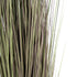 GloboStar® Artificial Garden BEIGE LAGURUS 21104 Διακοσμητικό Φυτό Μπεζ Λαγοουρά Υ180cm - ledmania.gr