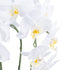 GloboStar® Artificial Garden WHITE ORCHID 21117 Διακοσμητικό Φυτό Λευκή Ορχιδέα Υ45cm - ledmania.gr
