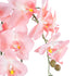 GloboStar® Artificial Garden SALMON ORCHID 21118 Διακοσμητικό Φυτό Ροζ-Πορτοκαλί Ορχιδέα Υ45cm - ledmania.gr