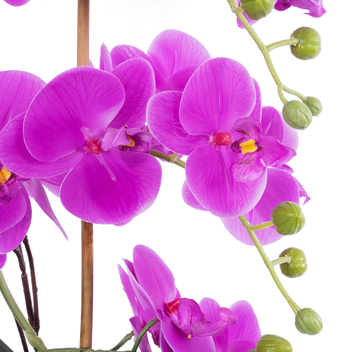 GloboStar® Artificial Garden HOT PINK ORCHID 21119 Διακοσμητικό Έντονο Ροζ Ορχιδέα Υ45cm - ledmania.gr