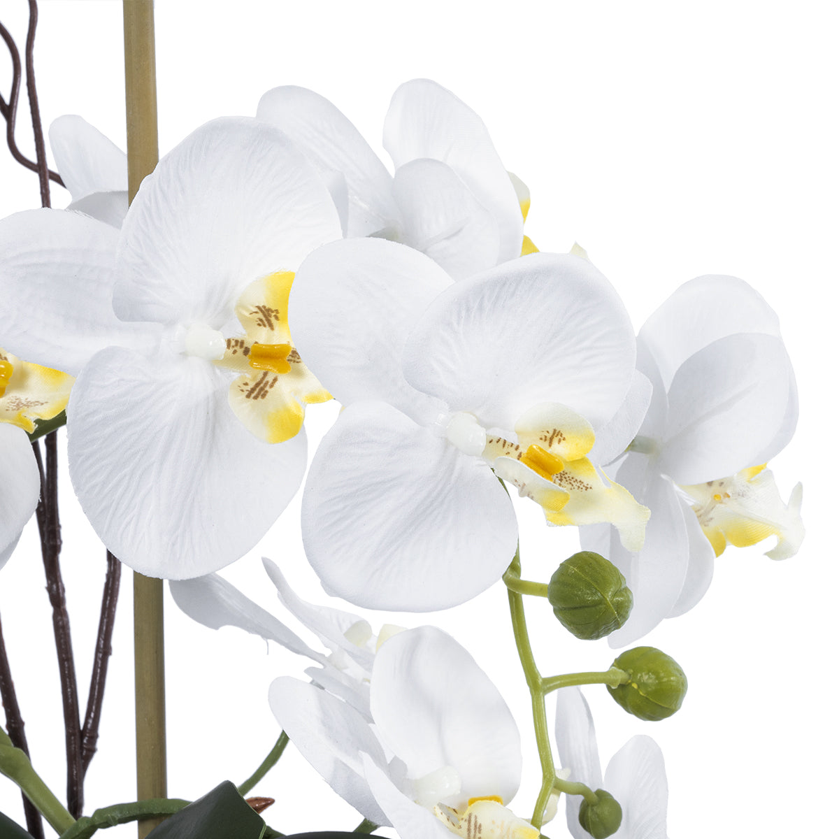 GloboStar® Artificial Garden WHITE ORCHID 21120 Διακοσμητικό Φυτό Λευκή Ορχιδέα Υ43cm - ledmania.gr