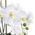 GloboStar® Artificial Garden WHITE ORCHID 21120 Διακοσμητικό Φυτό Λευκή Ορχιδέα Υ43cm - ledmania.gr