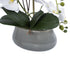 GloboStar® Artificial Garden WHITE ORCHID 21120 Διακοσμητικό Φυτό Λευκή Ορχιδέα Υ43cm - ledmania.gr