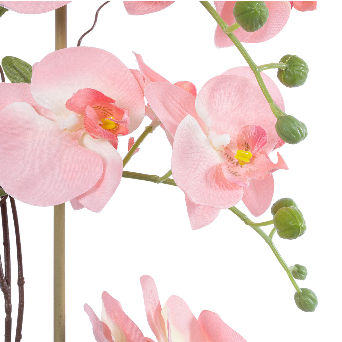GloboStar® Artificial Garden SALMON PINK ORCHID 21122 Διακοσμητικό Φυτό Ροζ-Πορτοκαλί Ορχιδέα Υ43cm - ledmania.gr