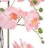 GloboStar® Artificial Garden SALMON PINK ORCHID 21122 Διακοσμητικό Φυτό Ροζ-Πορτοκαλί Ορχιδέα Υ43cm - ledmania.gr