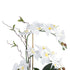 GloboStar® Artificial Garden WHITE ORCHID 21125 Διακοσμητικό Φυτό Λευκή Ορχιδέα Υ42cm - ledmania.gr