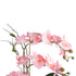 GloboStar® Artificial Garden PINK ORCHID 21126 Διακοσμητικό Φυτό Ροζ Ορχιδέα Υ42cm - ledmania.gr