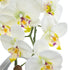 GloboStar® Artificial Garden WHITE ORCHID 21128 Διακοσμητικό Φυτό Λευκή Ορχιδέα Υ39cm - ledmania.gr